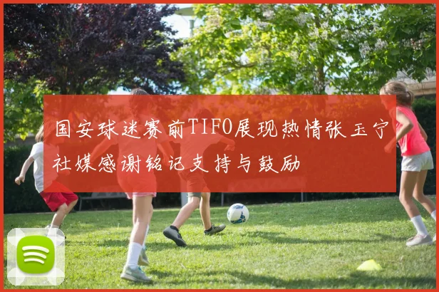 国安球迷赛前TIFO展现热情张玉宁社媒感谢铭记支持与鼓励