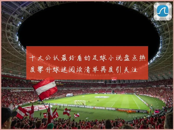 十大公认最好看的足球小说盘点热度攀升球迷阅读清单再度引关注