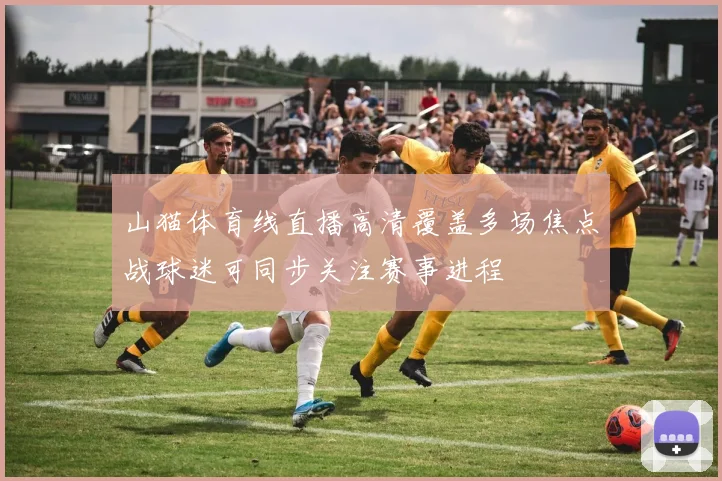 山猫体育线直播高清覆盖多场焦点战球迷可同步关注赛事进程