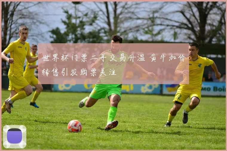 世界杯门票二手交易升温 黄牛加价转售引发购票关注
